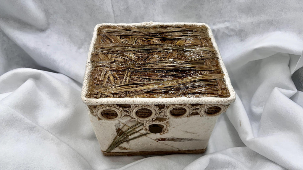 The Nature Box — Handmade Botanical Keepsake Box, Velvet Lined