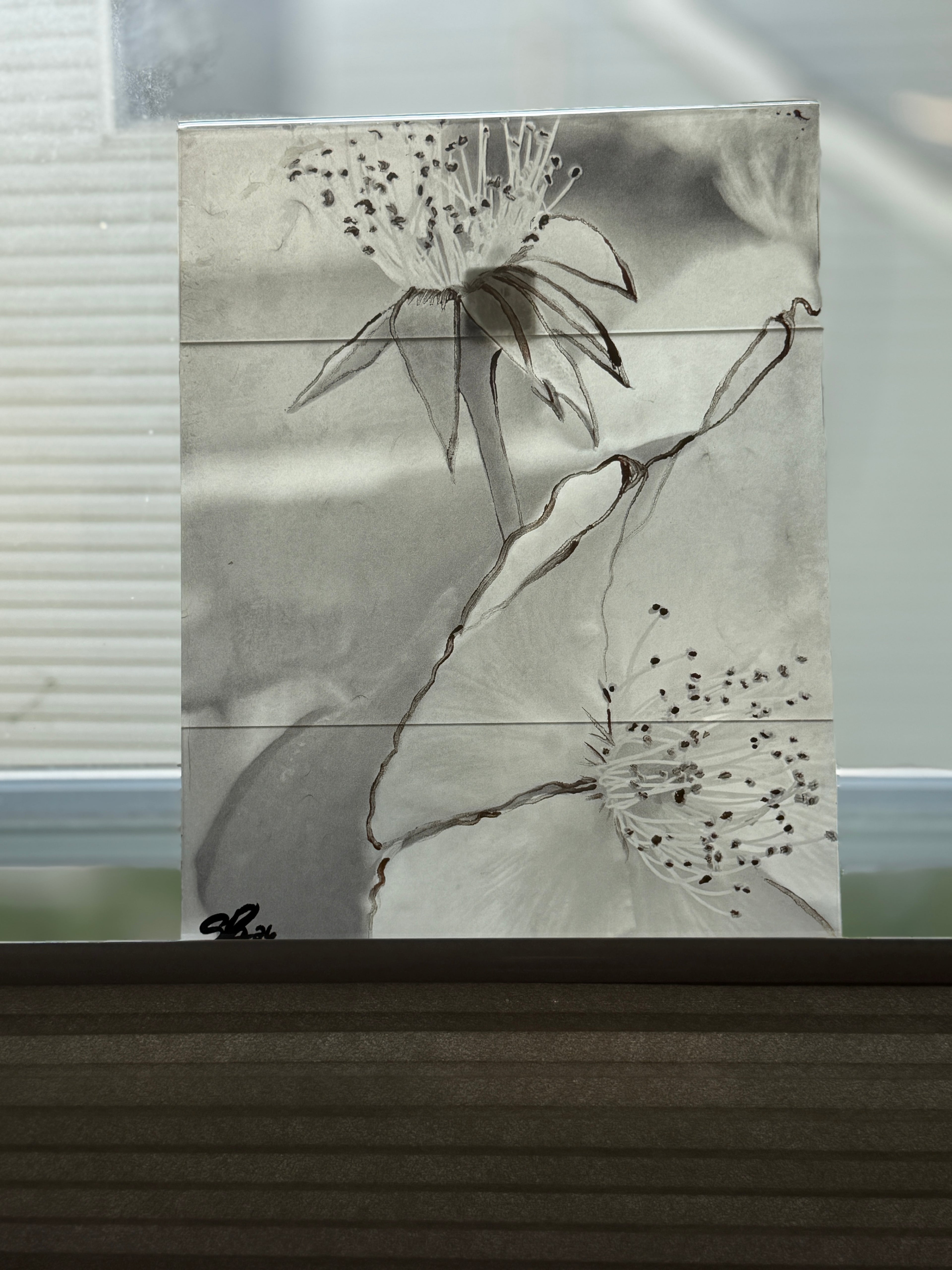 Untitled | Original Botanical Waxed Photograph with Gold Ink Accent (2026)