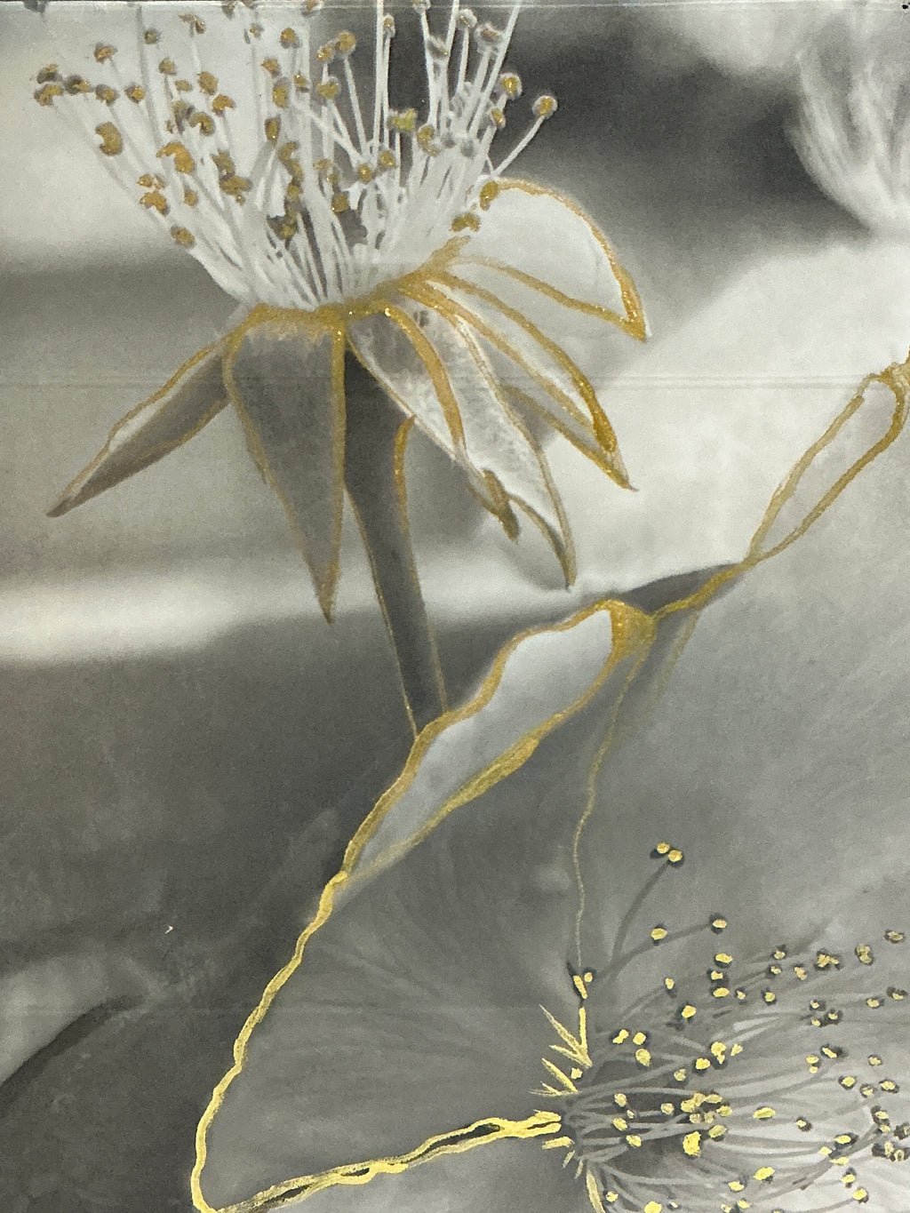 Untitled | Original Botanical Waxed Photograph with Gold Ink Accent (2026)