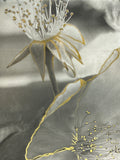 Untitled | Original Botanical Waxed Photograph with Gold Ink Accent (2026)