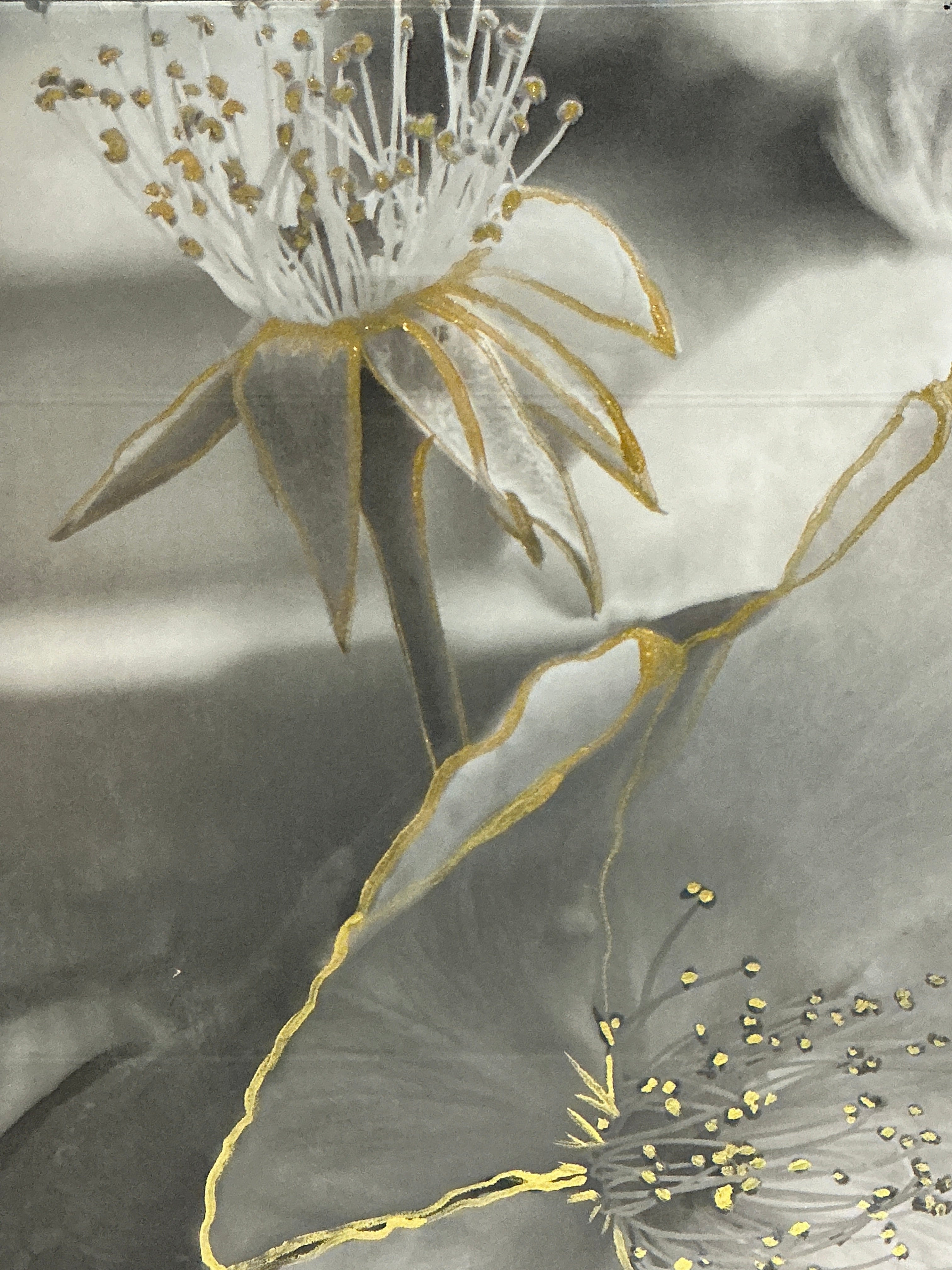 Untitled | Original Botanical Waxed Photograph with Gold Ink Accent (2026)